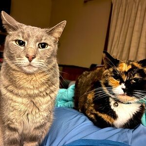 EXTRA Shipping label